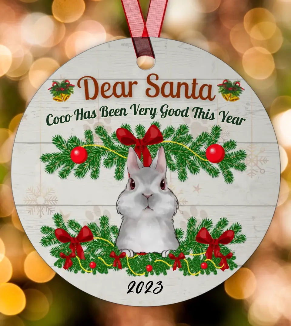 Rabbit Lovers - Personalized Circle Metal Ornament For Bunny Owners 2022 Christmas Gift copy